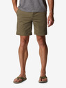 Columbia Pacific Ridge Shorts