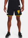 Under Armour Project Rock BA Mesh Shorts